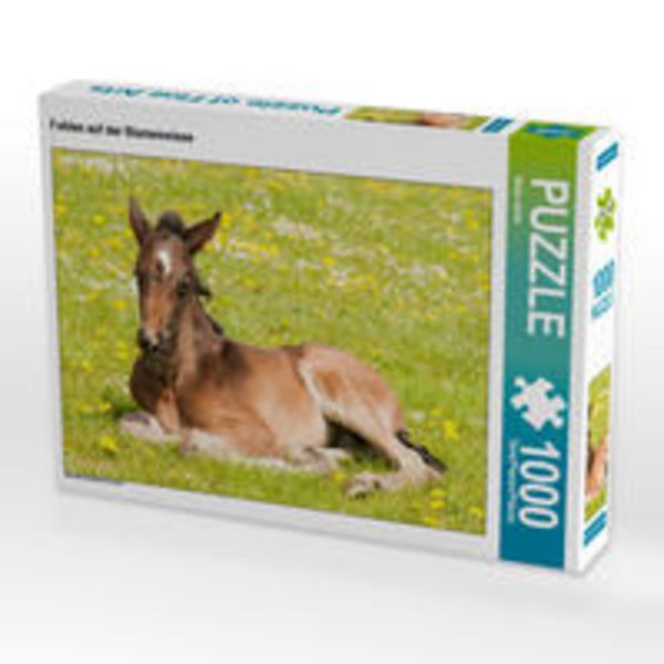 CALVENDO Puzzle Fohlen auf der Blumenwiese | 1000 Teile Lege-Größe 64x48cm Foto-Puzzle für glückliche Stunden