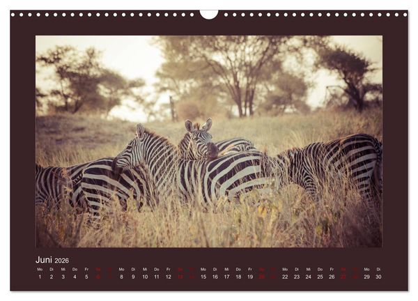 Produktbild: Tansania - Mensch, Tier und Landschaft (Wandkalender 2026 DIN A3 quer), CALVENDO Monatskalender