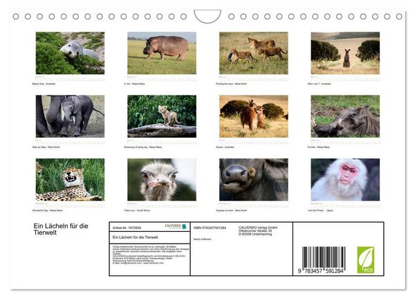 Produktbild: Ein L&auml;cheln f&uuml;r die Tierwelt (Wandkalender 2026 DIN A4 quer), CALVENDO Monatskalender