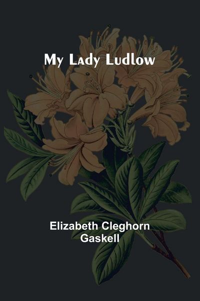 Produktbild: My Lady Ludlow