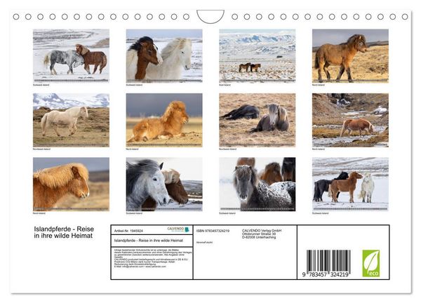 Produktbild: Islandpferde - Reise in ihre wilde Heimat (Wandkalender 2026 DIN A4 quer), CALVENDO Monatskalender
