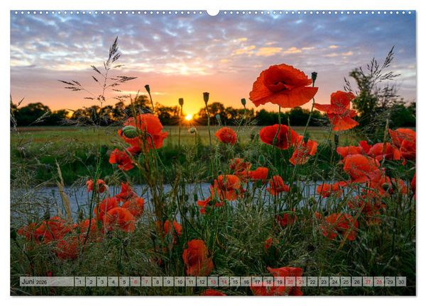 Produktbild: B&ouml;rnicke - Historisches Angerdorf im Barnim (hochwertiger Premium Wandkalender 2026 DIN A2 quer), Kunstdruck in Hochglanz