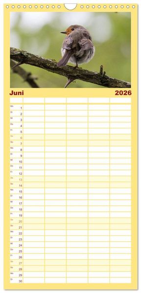 Produktbild: Familienplaner 2026 - Geliebtes Rotkehlchen mit 5 Spalten (Wandkalender, 21 x 45 cm) CALVENDO