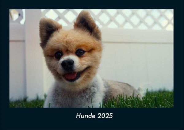 Hunde 2025 Fotokalender DIN A4
