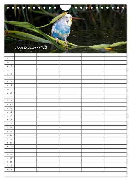 Produktbild: Wellensittiche (Wandkalender 2027 DIN A4 hoch), CALVENDO Monatskalender