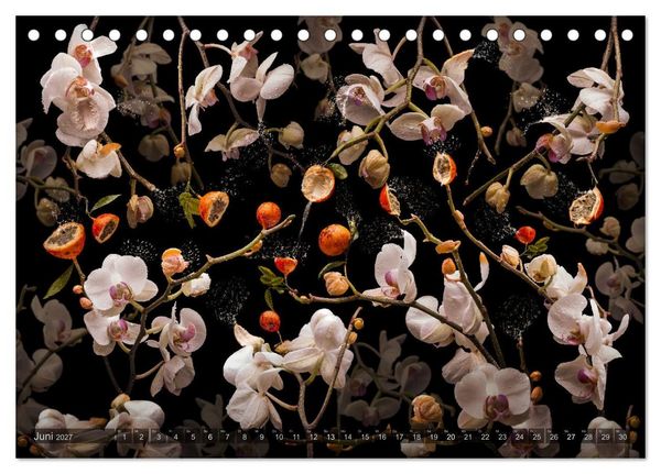 Produktbild: Orchidea (Tischkalender 2027 DIN A5 quer), CALVENDO Monatskalender