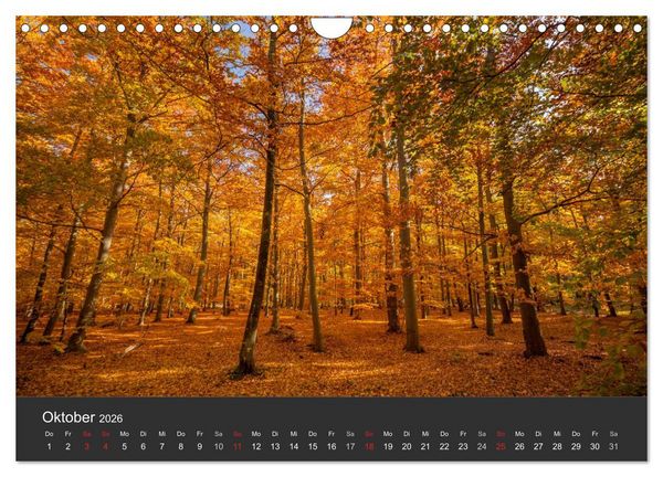 Produktbild: Mecklenburg-Vorpommern (Wandkalender 2026 DIN A4 quer), CALVENDO Monatskalender