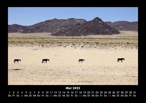Produktbild: Pferdegefl&uuml;ster 2025 Fotokalender DIN A3