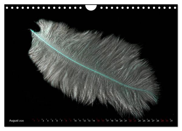Produktbild: Federleichte Momente (Wandkalender 2026 DIN A4 quer), CALVENDO Monatskalender