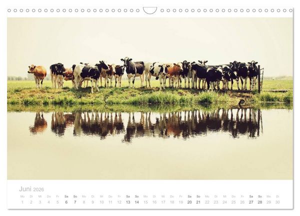 Produktbild: Polderlandschaften in Holland (Wandkalender 2026 DIN A3 quer), CALVENDO Monatskalender