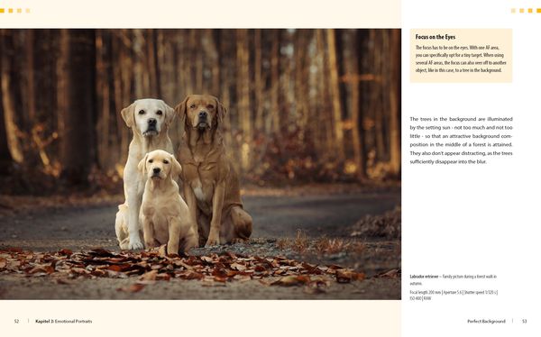Produktbild: Dog Photography - Shooting with Bow "Wow" Effect
