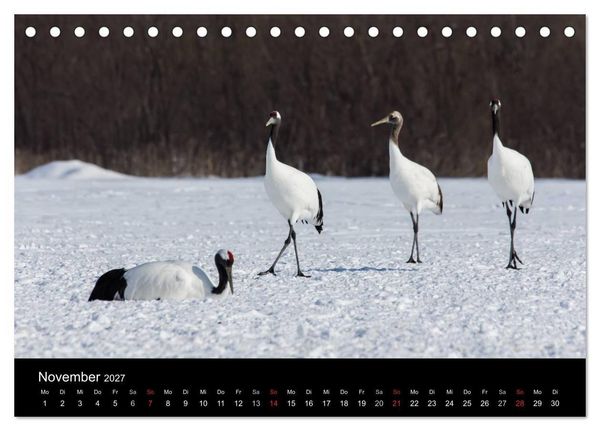 Produktbild: Mandschurenkraniche (Tischkalender 2027 DIN A5 quer), CALVENDO Monatskalender