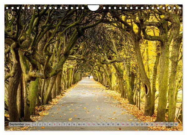 Produktbild: Dreistadt - Danzig, Gdingen, Zoppot (Wandkalender 2026 DIN A4 quer), CALVENDO Monatskalender