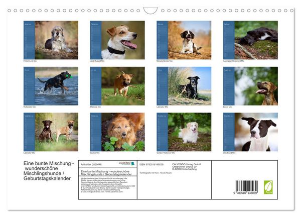Produktbild: Eine bunte Mischung - wundersch&ouml;ne Mischlingshunde / Geburtstagskalender (Wandkalender 2026 DIN A3 quer), CALVENDO Monatskalender