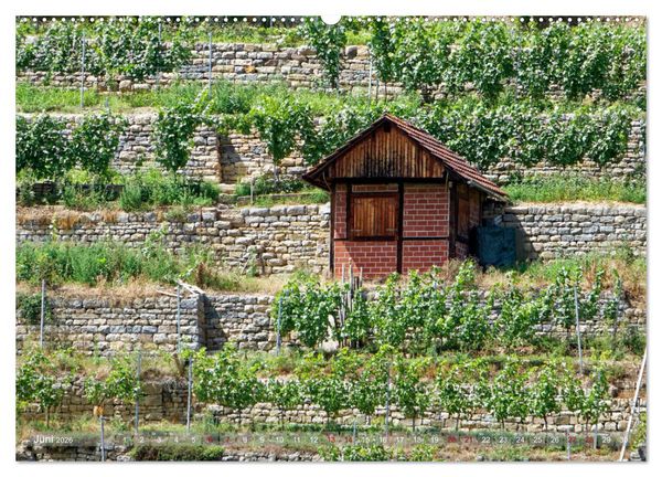 Produktbild: Weinbergh&auml;uschen - Schutz- und Werkzeughaus f&uuml;r den Weing&auml;rtner (hochwertiger Premium Wandkalender 2026 DIN A2 quer), Kunstdruck in Hochglanz