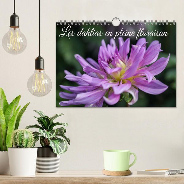 Produktbild: Les Dahlias en pleine floraison (Calendrier mural 2026 DIN A4 vertical), CALVENDO calendrier mensuel