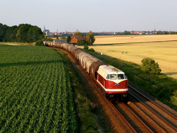 Produktbild: 118 719 arbeitet sich die Steigung hinter Bautzen herauf, um ihren Zug nach Dresden zu bef&ouml;rdern. (Puzzle)