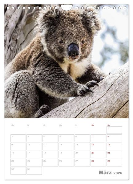 Produktbild: g'day Australien 2026 (Wandkalender 2026 DIN A4 hoch), CALVENDO Monatskalender