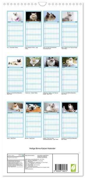 Produktbild: Familienplaner 2026 - Heilige Birma Katzen Kalender mit 5 Spalten (Wandkalender, 21 x 45 cm) CALVENDO