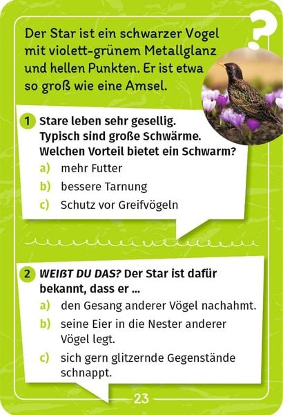 Produktbild: Mein Vogel-Forscherquiz