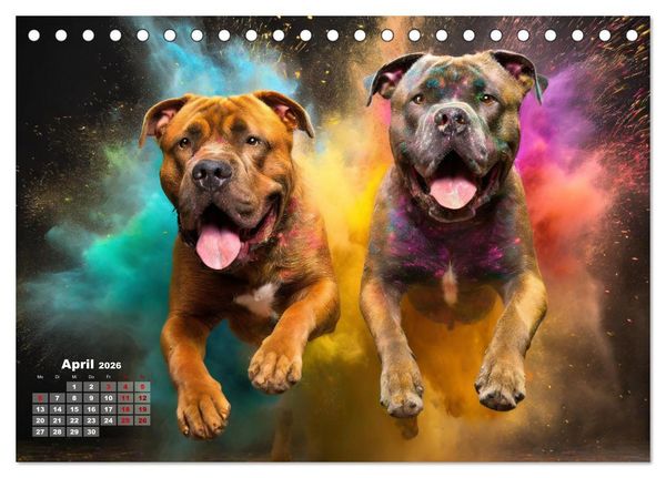 Produktbild: Holi Pulver - Doppelte Action (Tischkalender 2026 DIN A5 quer), CALVENDO Monatskalender