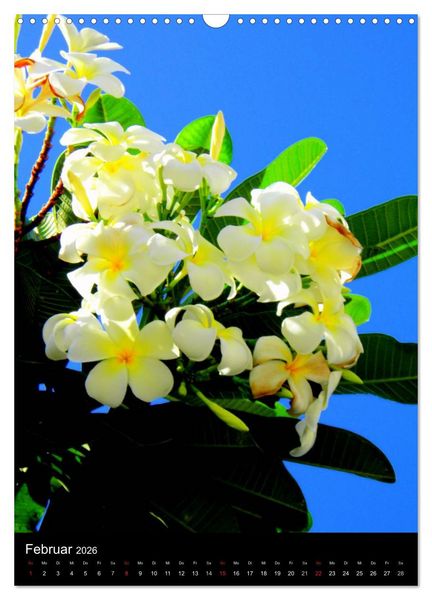 Produktbild: Hawaii (Wandkalender 2026 DIN A3 hoch), CALVENDO Monatskalender