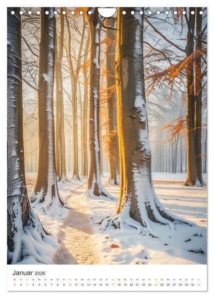 Produktbild: Mystische Pfade (Wandkalender 2026 DIN A4 hoch), CALVENDO Monatskalender