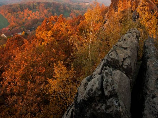 Produktbild: CALVENDO Puzzle Ein Motiv aus dem Kalender Der Harz, Naturschutzgebiet Teufelsmauer | 1000 Teile Lege-Gr&ouml;&szlig;e 64x48cm Foto-Puzzle f&uuml;r gl&uuml;ckliche Stunden
