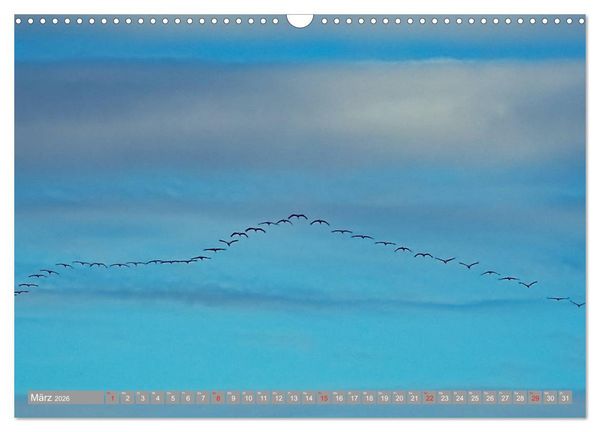 Produktbild: KranichRomantik (Wandkalender 2026 DIN A3 quer), CALVENDO Monatskalender