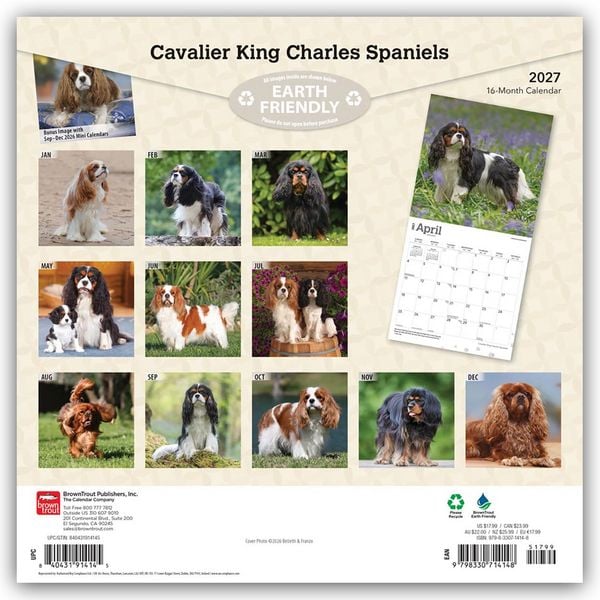 Produktbild: Cavalier King Charles Spaniels 2027 &ndash; 16-Monatskalender