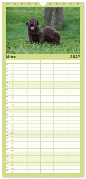 Produktbild: Familienplaner 2027 - Labrador Welpen mit 5 Spalten (Wandkalender, 21 x 45 cm) CALVENDO