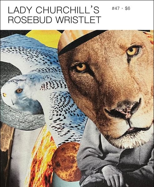 Produktbild: Lady Churchill's Rosebud Wristlet No. 47