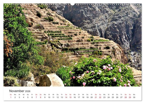 Produktbild: Sultanat Oman - Land des Orients (hochwertiger Premium Wandkalender 2026 DIN A2 quer), Kunstdruck in Hochglanz