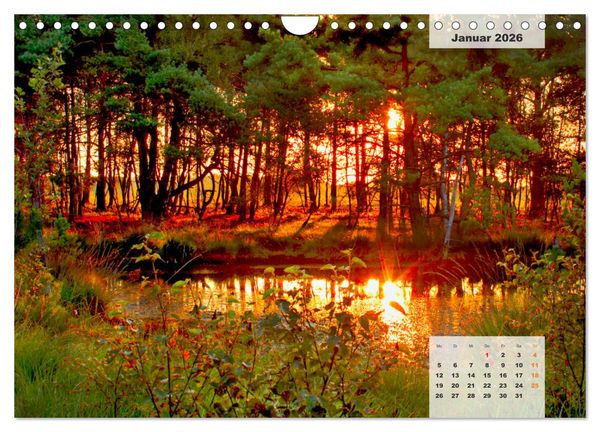 Produktbild: Niedersachsens Moorlandschaften - Das Pietzmoor, Schneverdingen (Wandkalender 2026 DIN A4 quer), CALVENDO Monatskalender