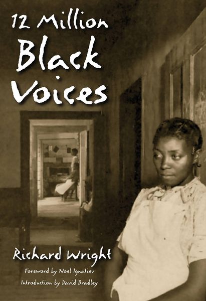 Produktbild: 12 Million Black Voices