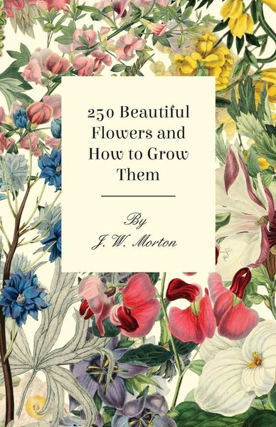 Produktbild: 250 Beautiful Flowers And How To Grow Them