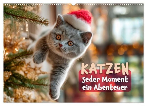 Produktbild: Katzen - Jeder Moment ein Abenteuer (Wandkalender 2027 DIN A2 quer), CALVENDO Monatskalender