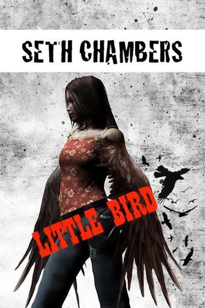 Produktbild: Little Bird