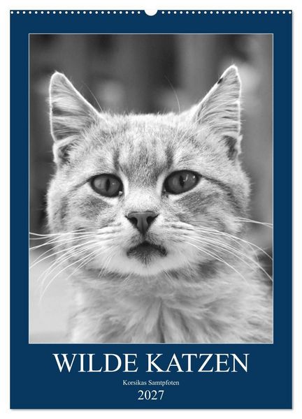Produktbild: Wilde Katzen - Korsikas Samtpfoten (Wandkalender 2027 DIN A2 hoch), CALVENDO Monatskalender