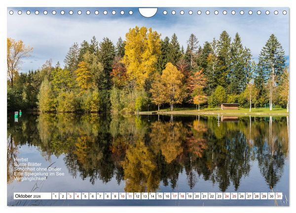 Produktbild: Mit Elfchen durch das Jahr (Wandkalender 2026 DIN A4 quer), CALVENDO Monatskalender