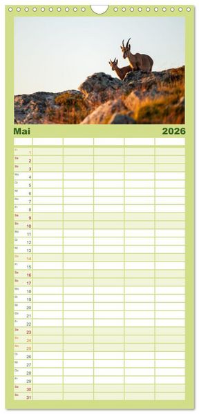 Produktbild: Familienplaner 2026 - Steinbock - K&ouml;nig der Alpen mit 5 Spalten (Wandkalender, 21 x 45 cm) CALVENDO