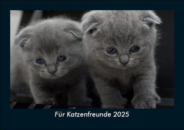 Produktbild: F&uuml;r Katzenfreunde 2025 Fotokalender DIN A5