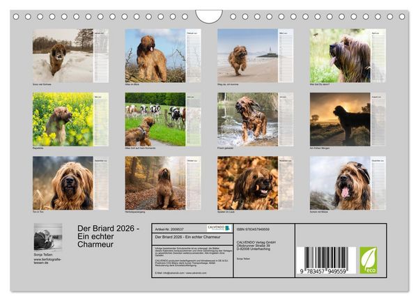 Produktbild: Der Briard 2026 - Ein echter Charmeur (Wandkalender 2026 DIN A4 quer), CALVENDO Monatskalender