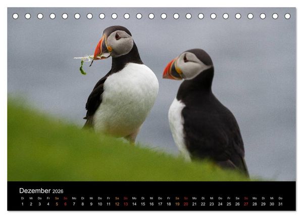Produktbild: Welt der Papageitaucher (Tischkalender 2026 DIN A5 quer), CALVENDO Monatskalender