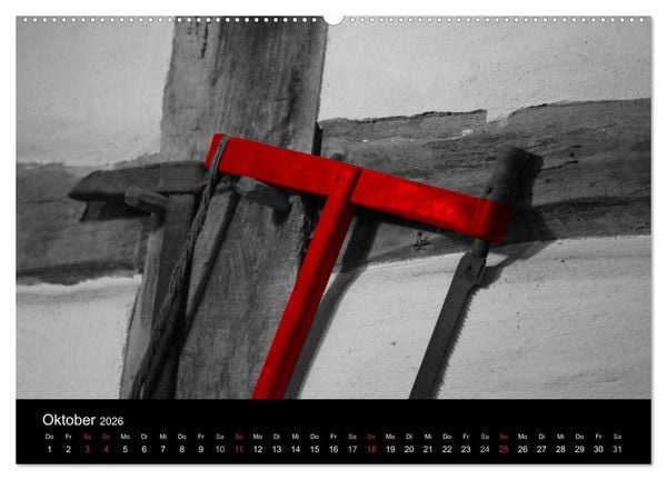 Produktbild: Blickfang in Rot (Wandkalender 2026 DIN A2 quer), CALVENDO Monatskalender
