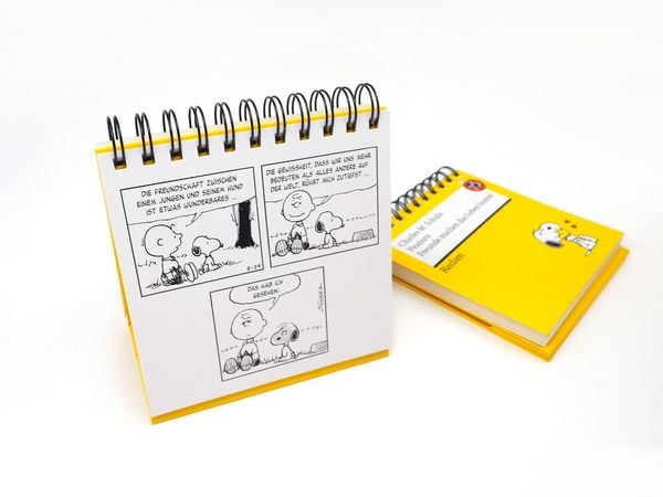 Produktbild: Peanuts. Freunde machen das Leben bunter (Tischaufsteller)