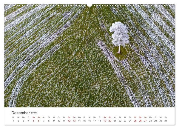 Produktbild: B&auml;ume - Gelebtes Leben (hochwertiger Premium Wandkalender 2026 DIN A2 quer), Kunstdruck in Hochglanz
