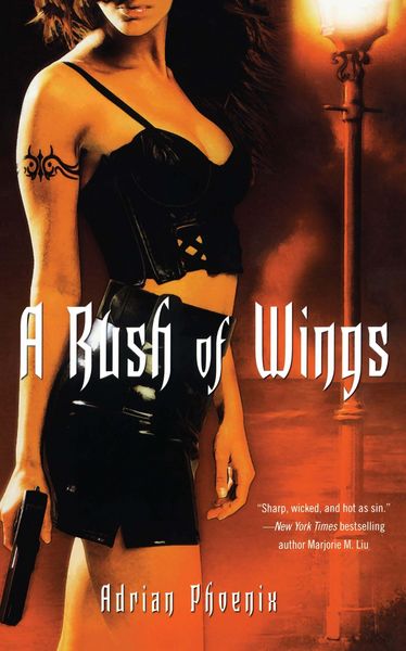 Produktbild: A Rush of Wings