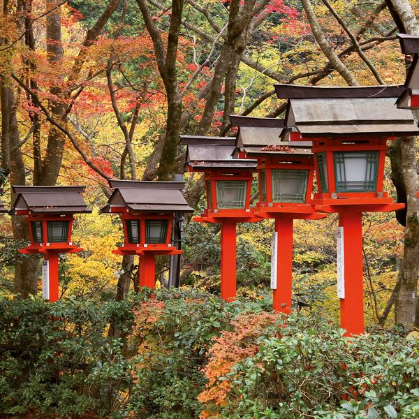 Produktbild: Japanese Garden 2027