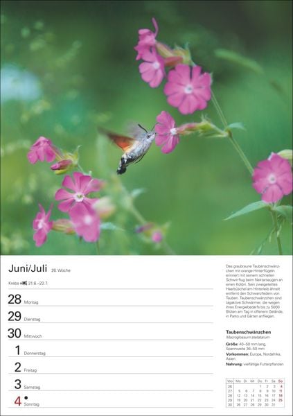 Produktbild: Heimische Tiere Wochenplaner 2027 - 53 faszinierende Fotografien